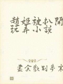 赵姬被扒开双腿玩弄小说