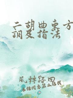 二胡曲东方红g调及指法