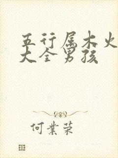 五行属木火的字大全男孩