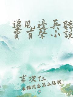 追风边兵听书免费有声小说