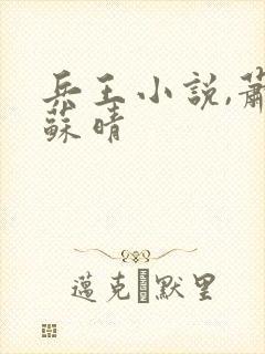 兵王小说,萧晨苏晴