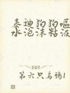 泰迪狗狗呕吐黄水泡沫粘液