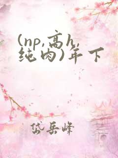 (np,高h,纯肉)年下