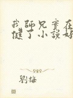 我师兄实在太稳健了小说好看么