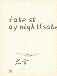 fate stay night(saber线(2006)