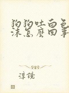 狗狗吐白色的泡沫怎么回事