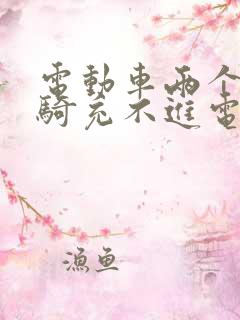 电动车两个月没骑充不进电