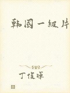 韩国一级片中出