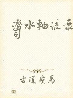 潜水轴流泵站公司