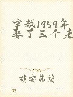 穿越1959年娶了三个老婆的小说