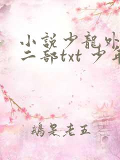 小说少龙外传第二部txt 少年龙剑飞