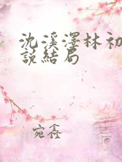 沈溪泽林初棠小说结局