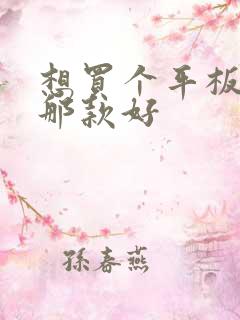 想买个平板画画那款好