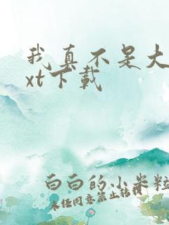 我真不是大佬txt下载