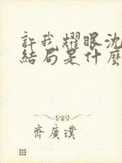 许我耀眼沈皓明结局是什么