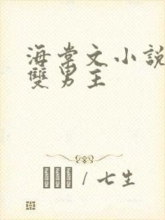 海棠文小说推荐双男主