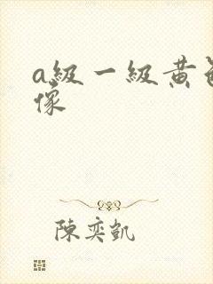 a级一级黄色录像