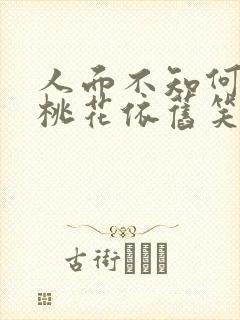 人面不知何处去桃花依旧笑春风是哪首诗