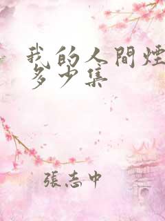 我的人间烟火共多少集