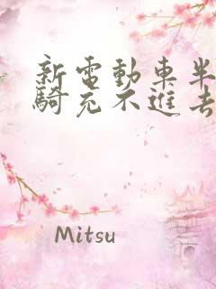 新电动车半年没骑充不进去电了