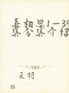 长相思1—39集分集介绍