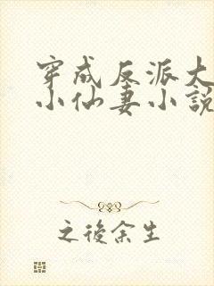 穿成反派大佬的小仙妻小说