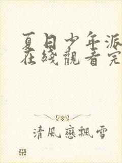 夏日少年派高清在线观看完整版
