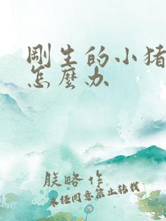 刚生的小猪拉稀怎么办