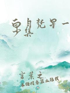 白月梵星一共多少集