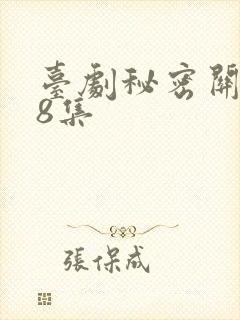 台剧秘密关系第8集