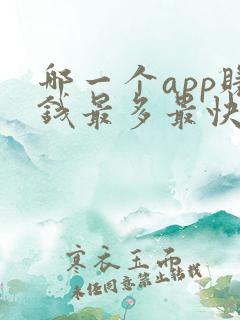 哪一个app赚钱最多最快?