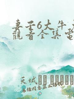 妻子6大牛免费观看全集电视剧