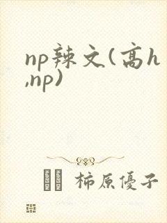 np辣文(高h,np)