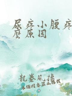 尿疼小腹疼是什么原因