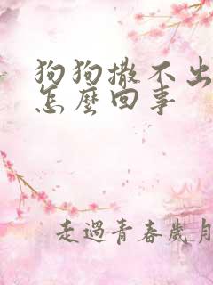 狗狗撒不出尿是怎么回事