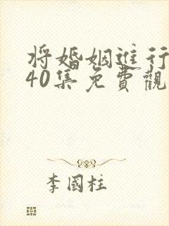 将婚姻进行到底40集免费观看