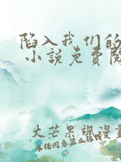 陷入我们的热恋 小说免费阅读