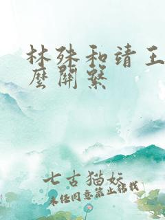 林殊和靖王是什么关系