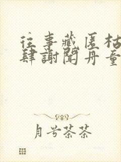 往事藏匿枯鱼之肆谢闻舟童昭全文小说