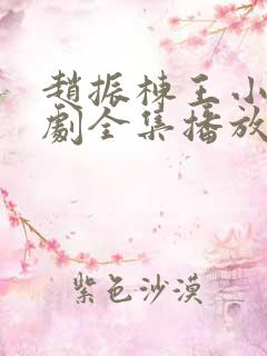 赵振栋王小亿短剧全集播放