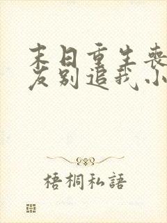 末日重生丧尸男友别追我小说阅读全文