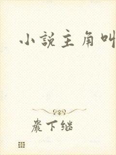 小说主角叫林凡