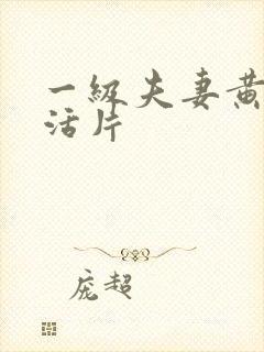 一级夫妻黄色生活片