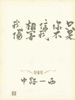 我相信你只是怕伤害我不是骗我是什么歌