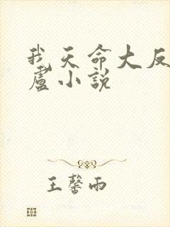 我天命大反派飞卢小说