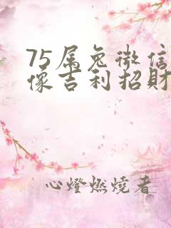 75属兔微信头像吉利招财