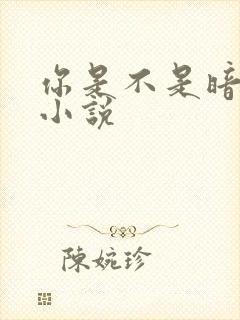 你是不是暗恋我小说