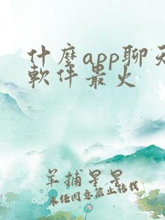 什么app聊天软件最火