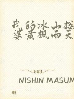 我的冰山总裁老婆黄枫雨天