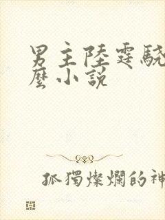 男主陆霆骁是什么小说